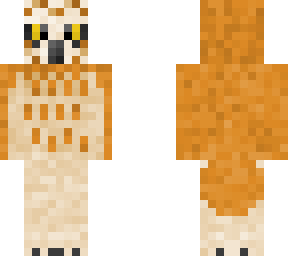 short-eared owl