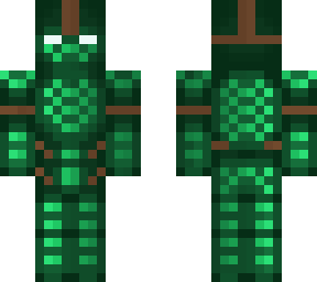 turtle shell boi