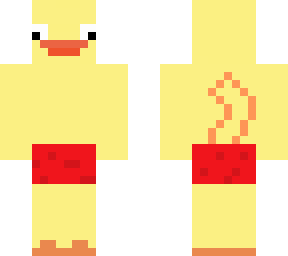 duck on a pool