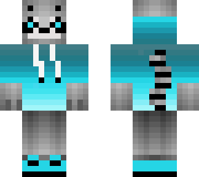 cool aqua raccoon