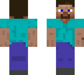 wtf steve