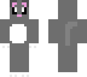 gray cat