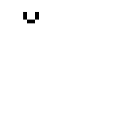 skelleton