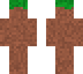 dirt block disguise