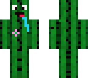 cactus with flower