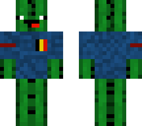catcus with belgian flagg