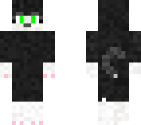 malki the cat