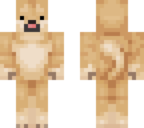 shibe steve