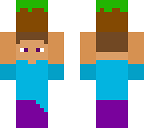 steve holding grass block
