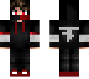 the ninja