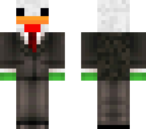 turtle with chicken helmet