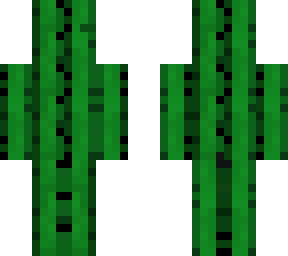 kaktus
