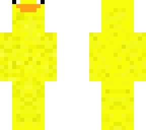 a duck.