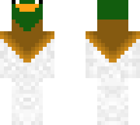a duck.