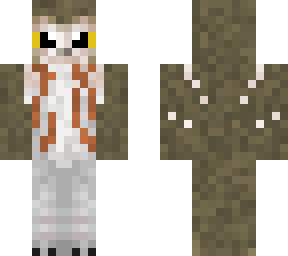 northern saw-whet owl v2