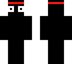 the dark ninja