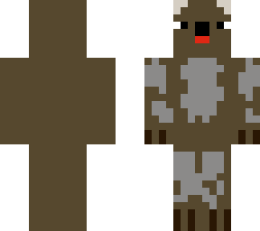 koala buddy