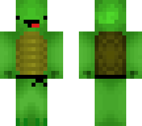derp turtle with black belt