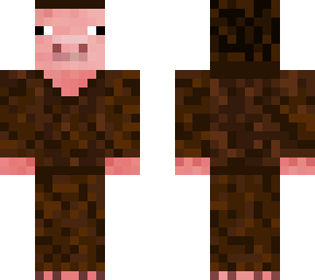 pig with a robe