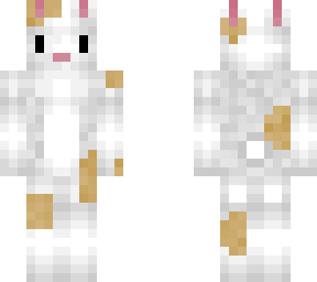 rabbit(: