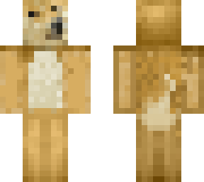 doge