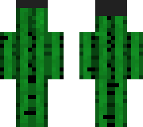cactus with helmet