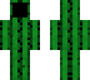 blank face cactus (customisable)