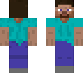 reversed steve