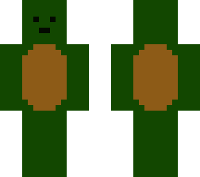 turtle