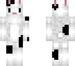 my bunny