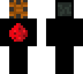 redstone guyysss