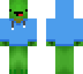 turtle w/ hoodie