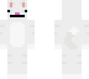 funny cat