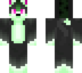 watermelon themed cat