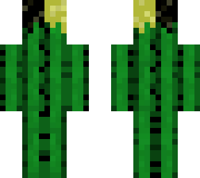 ***cactus