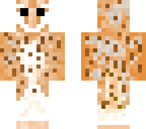 barn owl (female)