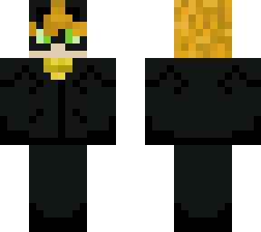 cat noir