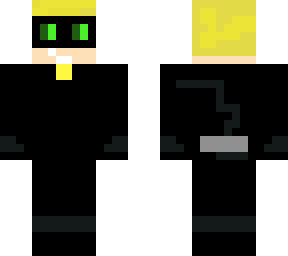 chat noir