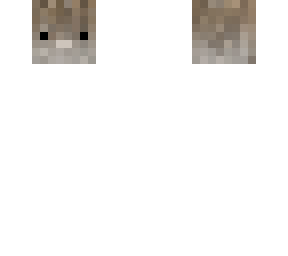 rabbit head