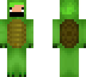 turtle r