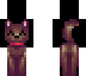 cute dog