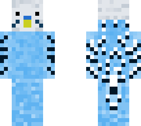 blue budgie