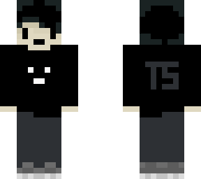 terraskate's skin