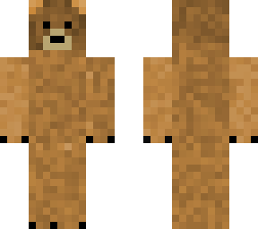 the bear