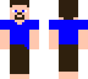 n.e.s. style steve