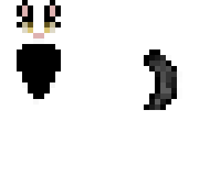 cat base