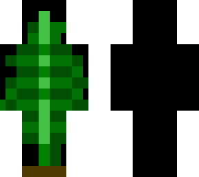 fern
