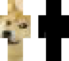 doge