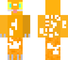 orange and white cat