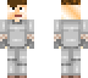 the knight